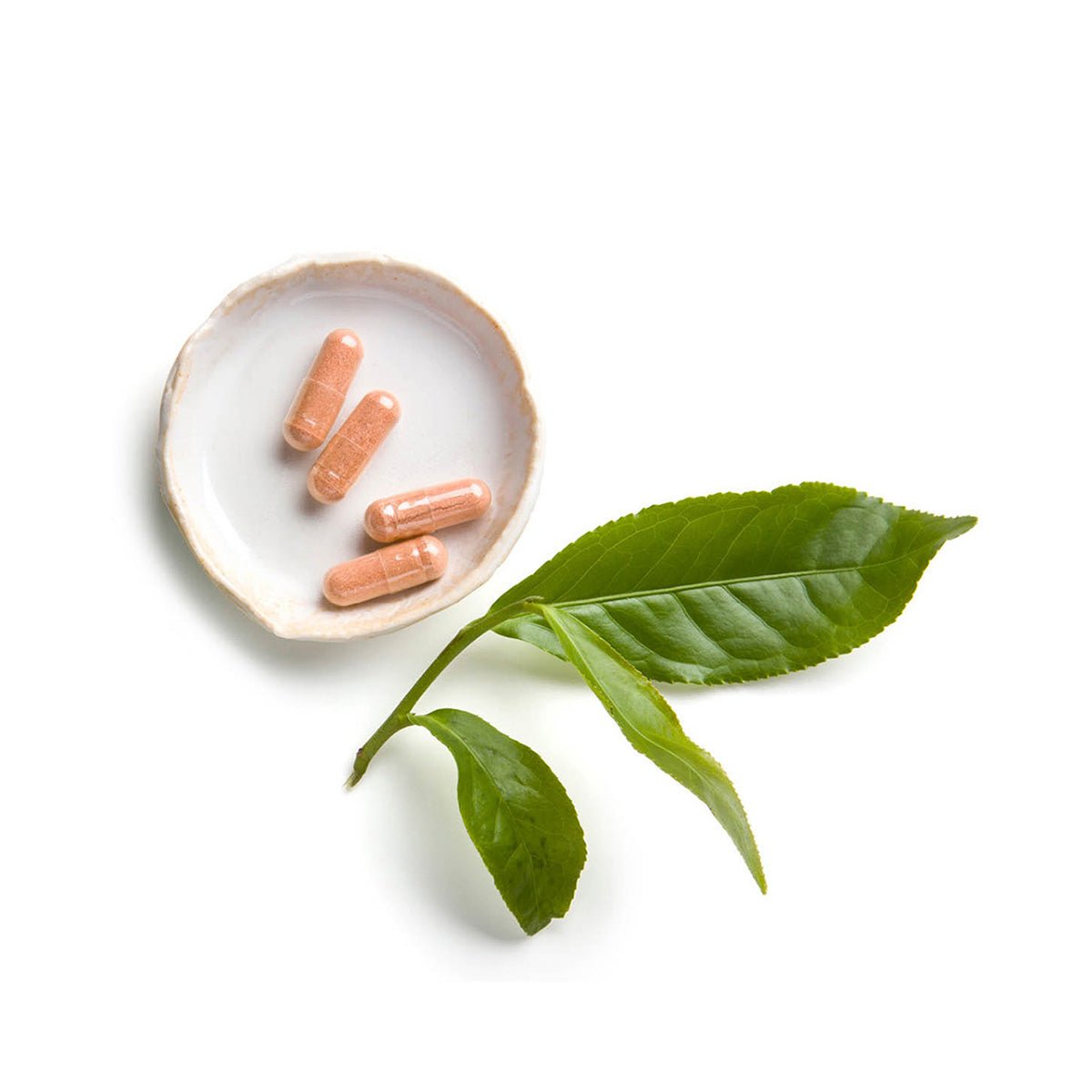 Nu Skin Tēgreen 97® (120 cápsulas) USA - NewSkinShop